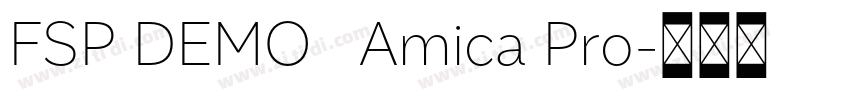 FSP DEMO   Amica Pro字体转换